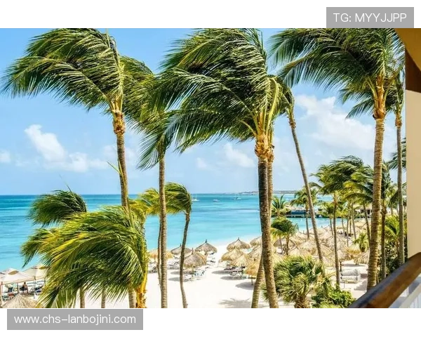 比基尼娱乐场：海滩娱乐新潮流引领时尚风向标